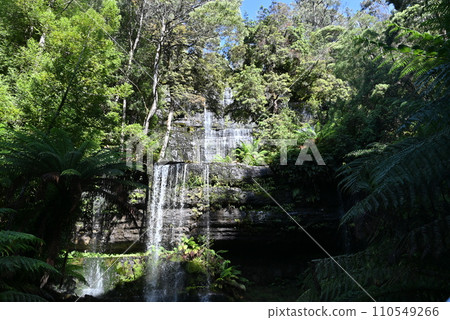 [Australia, Tasmania Island] Russell Falls Mountfield National Park 110549266