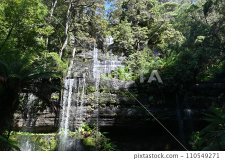[Australia, Tasmania Island] Russell Falls Mountfield National Park 110549271