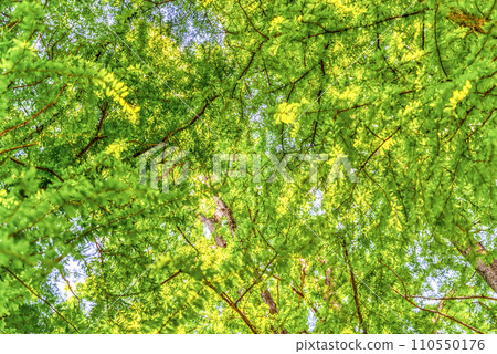 新綠秋瀨公園 110550176