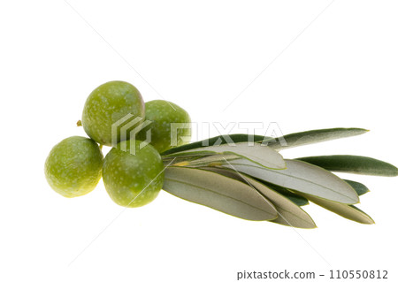 branch with green olives isolated 110550812