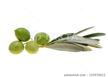 branch with green olives isolated 110550813