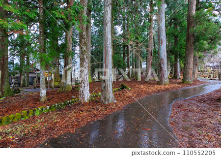 Road of fallen leaves Road of fallen leaves 110552205