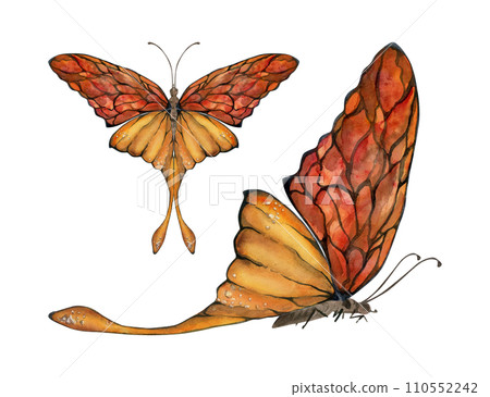 Hand drawn watercolor illustration butterfly fairy wings gem crystal insect moth. Amber garnet sunstone agate ruby. Single object isolated on white background. Design print, shop, wedding, birthday 110552242