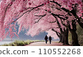 People taking a walk with weeping cherry blossoms in full bloom 3 110552268