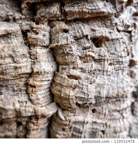 軟木塞的樹皮湧出 110552478