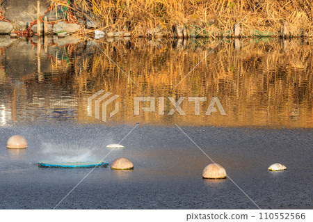 從池塘噴出的噴泉 110552566