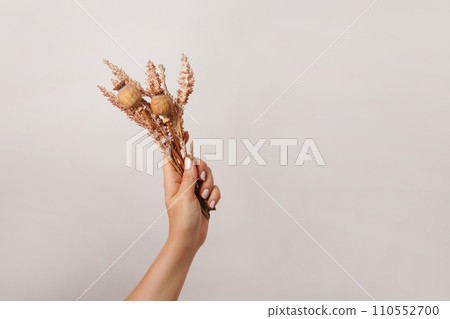 female hand holding autumn bouquet with dried flowers, light gray background with copy space female hand holding autumn bouquet with dried flowers, light gray background with copy space 110552700