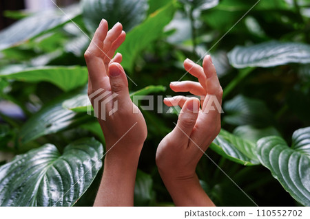 Female hands with green leaves in the forest. Beauty in nature 110552702