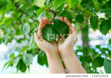 woman hands protect green tree in the garden, Environment and sustainability concepts 110552916