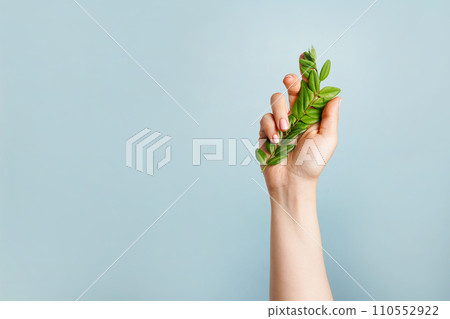 Hand with green leaves on blue background. The plant in the arm, symbolizing the unity of nature and people. Protecting and love nature 110552922