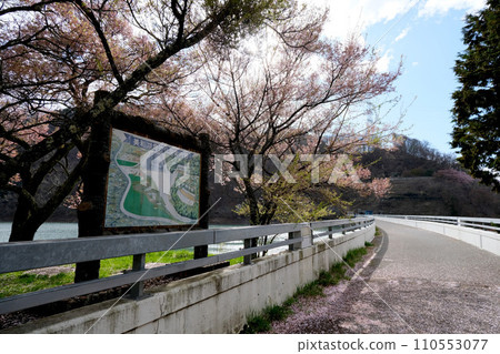 Ina City, Nagano Prefecture_Miwa Dam_Miwako14_2023_April Ina City, Nagano Prefecture_Miwa Dam_Miwako14_2023_April 110553077