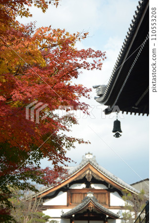 妙見寺栗裡與秋葉 京都市上京區 妙見寺栗裡與秋葉 京都市上京區 110553208