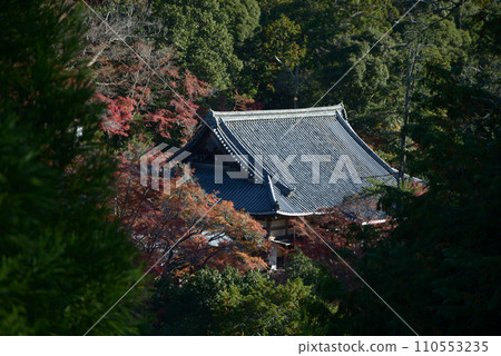 Saimyoji main hall distant view, Ukyo Ward, Kyoto City Saimyoji main hall distant view, Ukyo Ward, Kyoto City 110553235