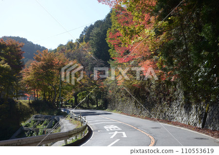 高尾 - 秋山街道的紅葉 - 京都市右京區梅畠 110553619