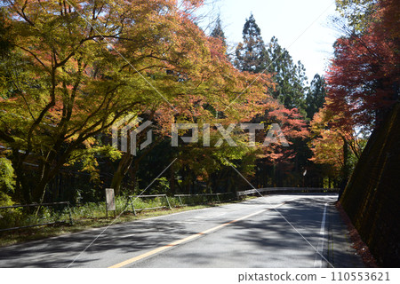 高尾 - 秋山街道的紅葉 - 京都市右京區梅畠 高尾 - 秋山街道的紅葉 - 京都市右京區梅畠 110553621
