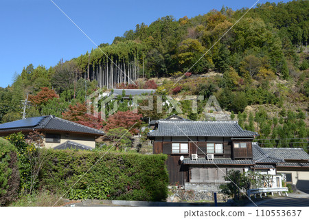 京都市右京區高雄周山街道村梅畠村 110553637