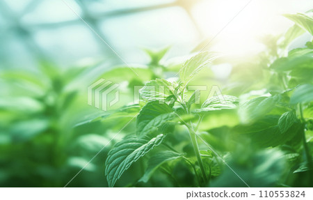 AI-generated content. Close up of mint leaves, blurred greenhouse background with copy space, AI generated 110553824