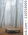 fog in the forest 110554009