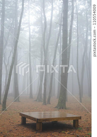 fog in the forest 110554009