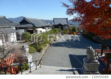 秋季 京都市北區紫野 憲君神社境內 秋季 京都市北區紫野 憲君神社境內 110554169
