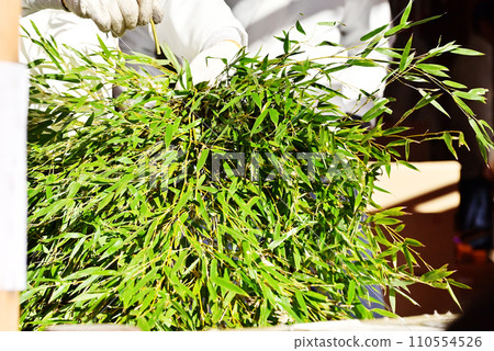 富貴竹草惠貝山大阪今宮惠比壽神社商業繁榮之神十日惠比壽景觀神德裝飾圖像素材 110554526