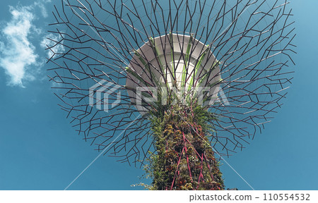 超級樹林和天空。濱海灣花園。 110554532