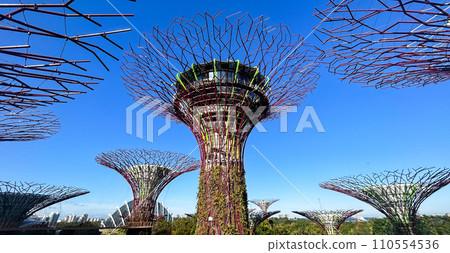 Supertree Grove at Gardens by the Bay 110554536