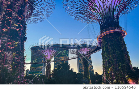 濱海灣花園和濱海灣金沙酒店燈火通明 濱海灣花園和濱海灣金沙酒店燈火通明 110554546