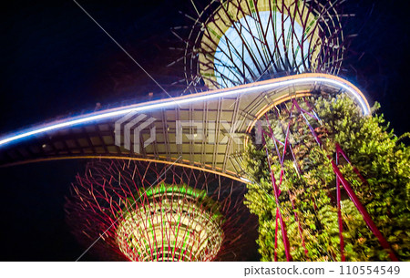 Super tree grove illuminated from below 110554549