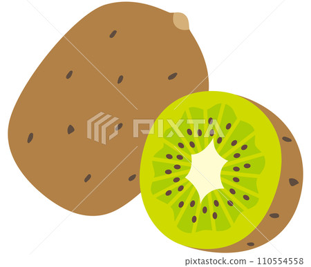 Kiwi fruit fruit material 110554558