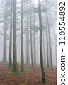 fog in the forest 110554892