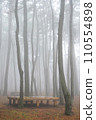 fog in the forest 110554898
