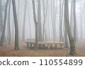fog in the forest 110554899