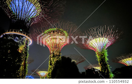 夜晚的濱海灣花園在燈光的照射下格外美麗 夜晚的濱海灣花園在燈光的照射下格外美麗 110554932