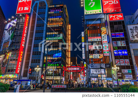 東京都新宿區歌舞伎町歌舞伎町第一大道 110555144