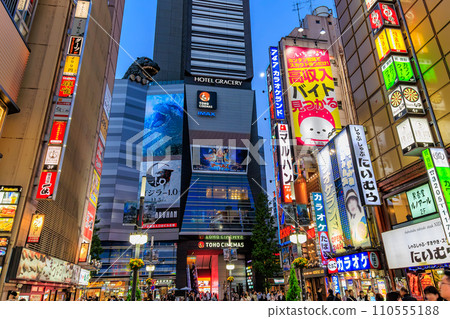 東京都新宿區歌舞伎町街景 歌舞伎町哥斯拉路(中央路) 東京都新宿區歌舞伎町街景 歌舞伎町哥斯拉路(中央路) 110555188