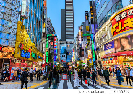東京都新宿區歌舞伎町街景 歌舞伎町哥斯拉路(中央路) 東京都新宿區歌舞伎町街景 歌舞伎町哥斯拉路(中央路) 110555202