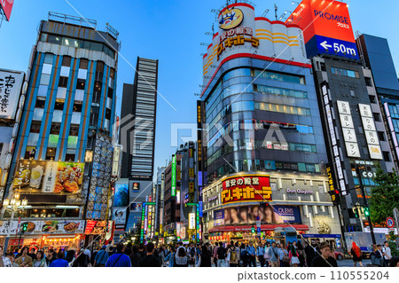 東京都新宿區歌舞伎町街景 歌舞伎町哥斯拉路(中央路) 東京都新宿區歌舞伎町街景 歌舞伎町哥斯拉路(中央路) 110555204