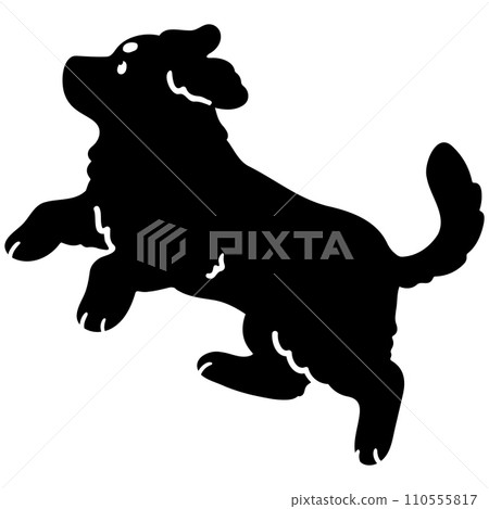 簡單可愛的跳躍伯恩山犬剪影與臉 簡單可愛的跳躍伯恩山犬剪影與臉 110555817