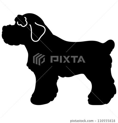 Sideways cute miniature schnauzer silhouette Sideways cute miniature schnauzer silhouette 110555818