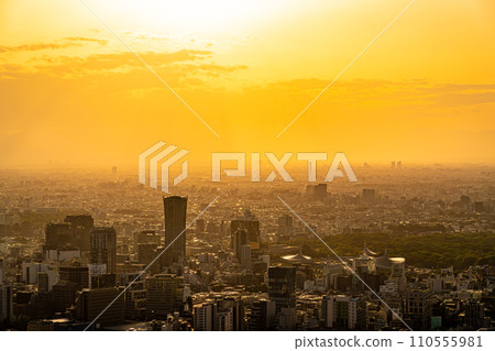 一座大城市的城市景觀被夕陽染紅 一座大城市的城市景觀被夕陽染紅 110555981