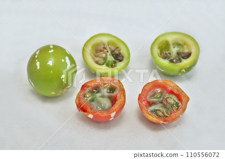 Okinawa sparrow fruit and seeds (winter, January) 110556072
