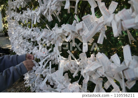 連接Omikuji 110556211