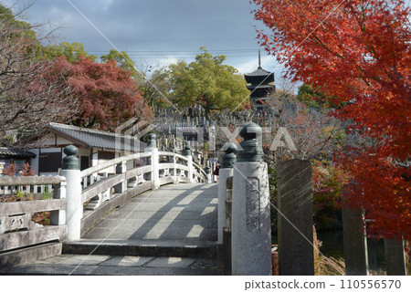 Konkai Komyoji Temple in autumn, distant view of the three-storied pagoda from the lotus pond, Kuroya, Sakyo Ward, Kyoto City 110556570
