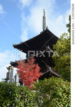 京都市左京區黑谷 秋天的近海光明寺 京都市左京區黑谷 秋天的近海光明寺 110556606