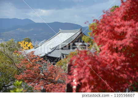 秋天的孔凱光明寺，禦榮堂遠景，京都市左京區黑屋 110556607