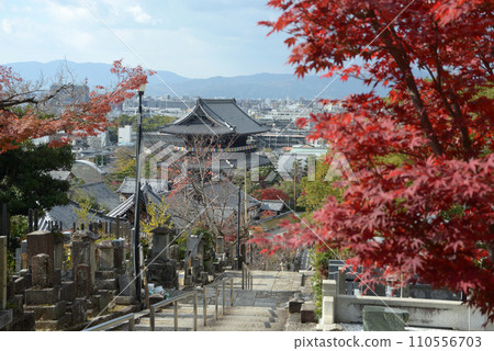 秋天的孔凱光明寺,京都市左京區黑屋山門的遠景 秋天的孔凱光明寺,京都市左京區黑屋山門的遠景 110556703