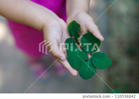 Close-up of open child hands holding green plant. Environment education and Earth Day concept Close-up of open child hands holding green plant. Environment education and Earth Day concept 110556842