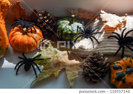 Halloween home decor on the window sill, pumpkins and spiders on white background 110557148