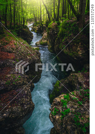 Turquoise Mostnica river in the narrow gorge, Stara Fuzina, Slovenia 110557249